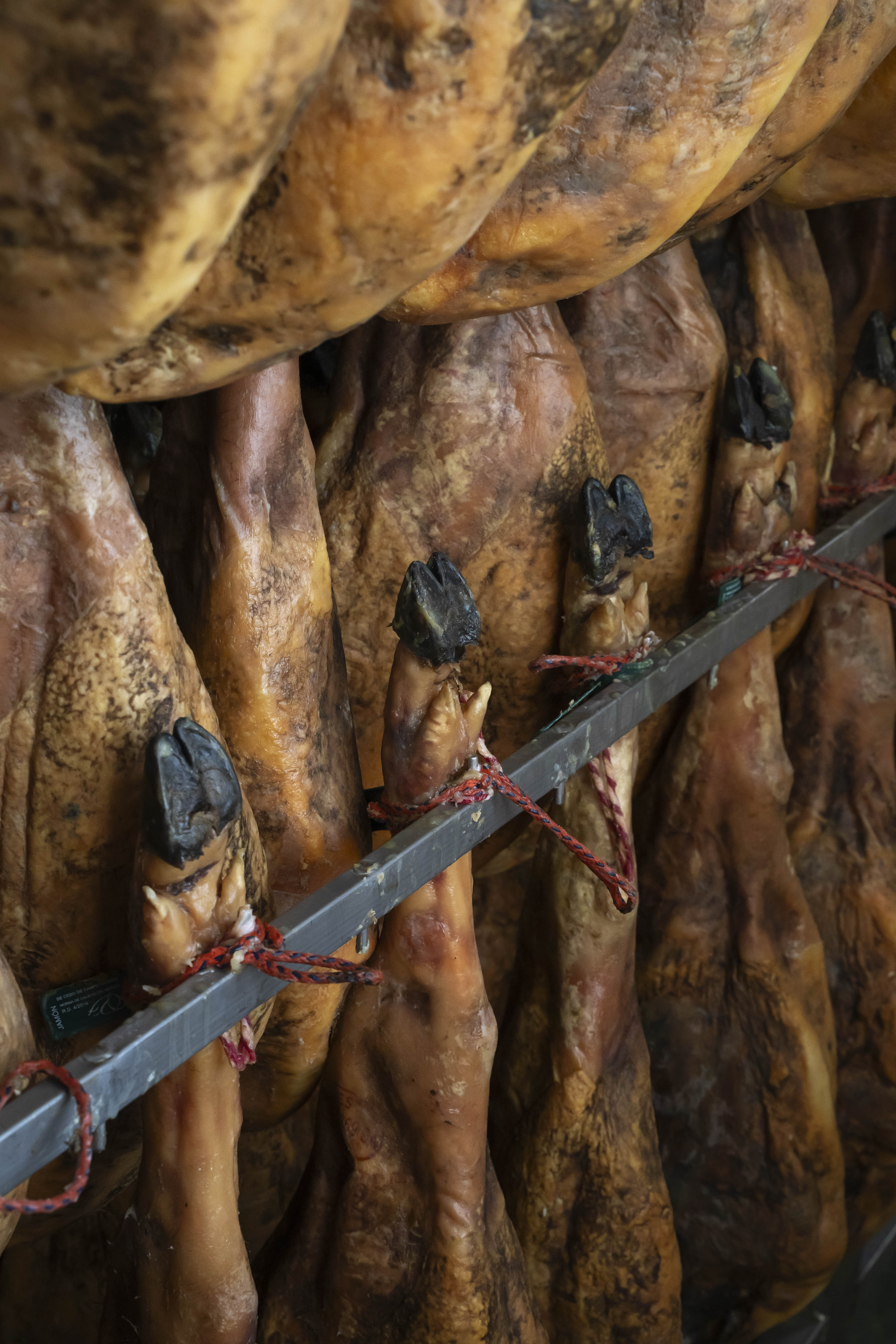 Jamón ibérico y Paleta ibérica: diferencias que todo amante del ibérico debe conocer