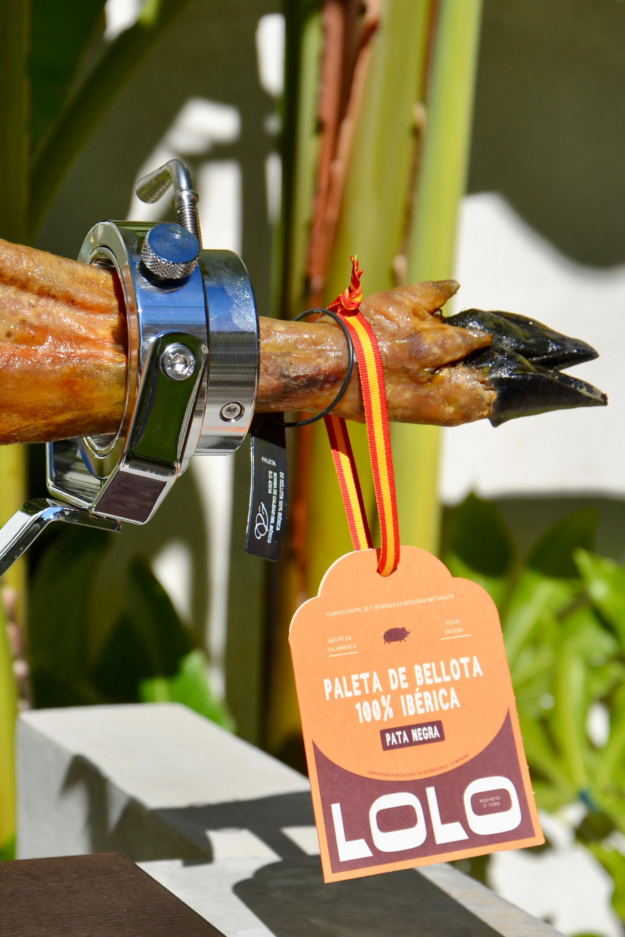 support à jambon avec une épaule lolo jamon